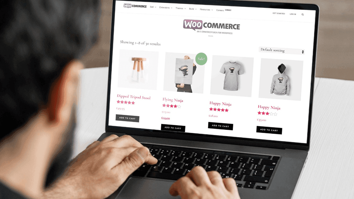 End-to-End WordPress Development Services — WooCommerce Development