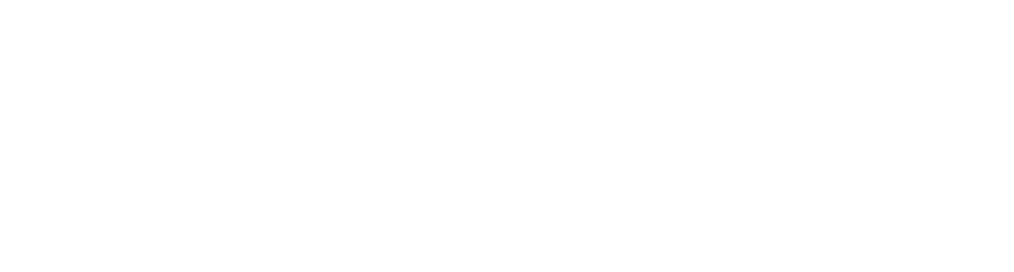 Brihat Infotech